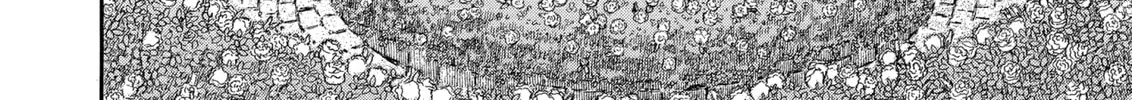 Read Berserk chapter 253 image 27 on Lezhin