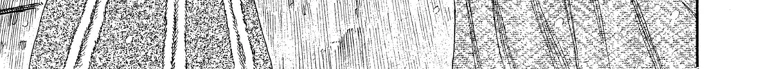 Read Berserk chapter 254 image 25 on Lezhin
