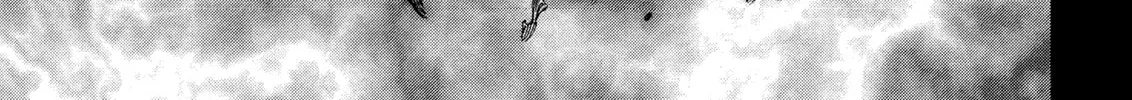 Read Berserk chapter 270 image 27 on Lezhin