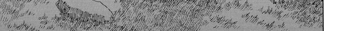 Read Berserk chapter 278 image 33 on Lezhin