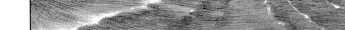 Read Berserk chapter 278 image 37 on Lezhin