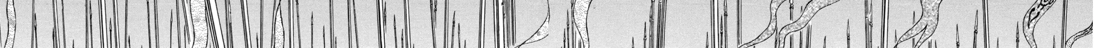 Read Berserk chapter 279 image 7 on Lezhin