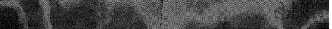 Read Berserk chapter 286 image 39 on Lezhin