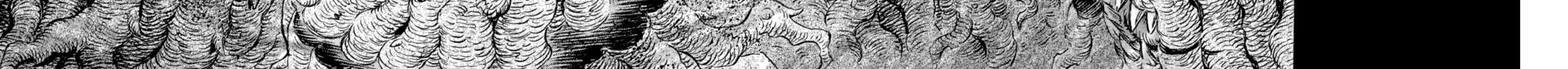 Read Berserk chapter 299 image 13 on Lezhin