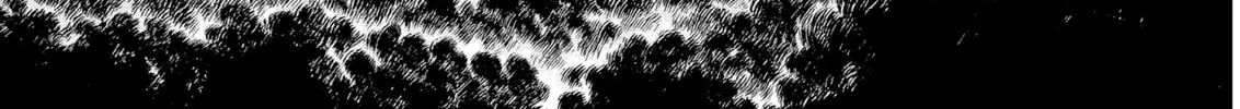 Read Berserk chapter 300 image 1 on Lezhin