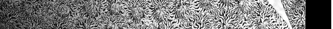 Read Berserk chapter 304 image 13 on Lezhin