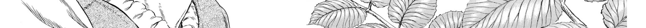 Read Berserk chapter 306 image 11 on Lezhin