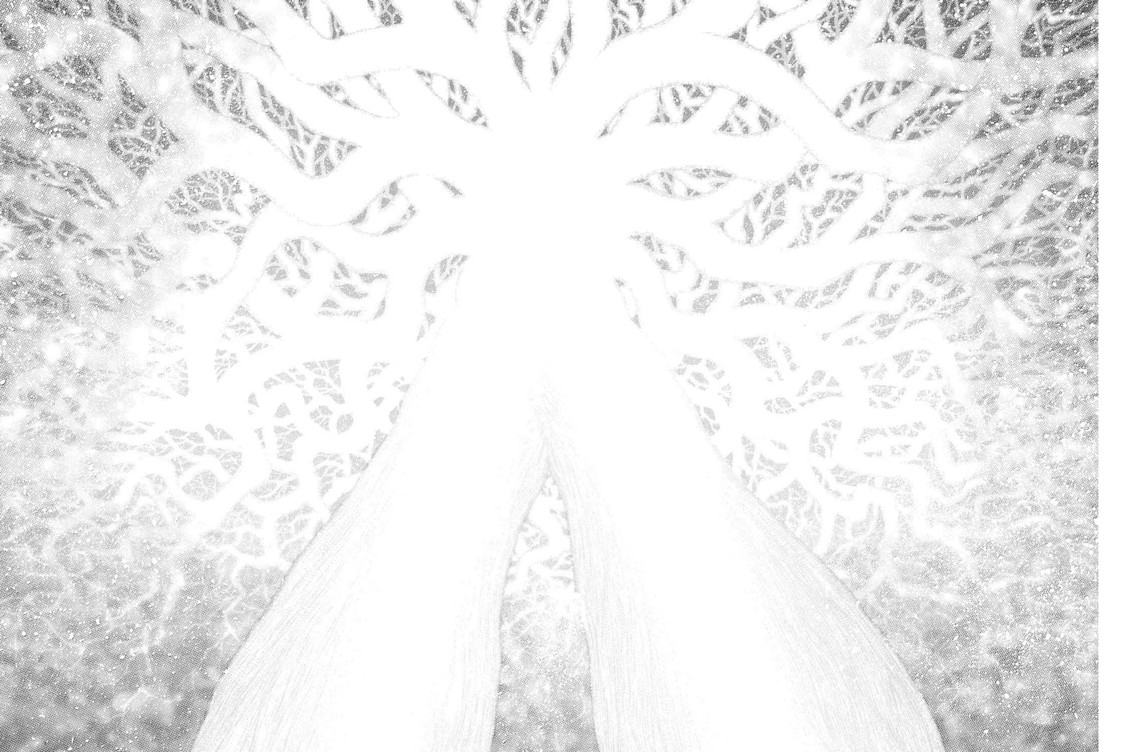 Read Berserk chapter 306 image 24 on Lezhin