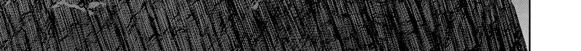 Read Berserk chapter 314 image 25 on Lezhin
