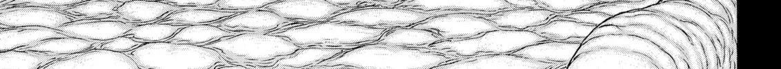 Read Berserk chapter 325 image 31 on Lezhin
