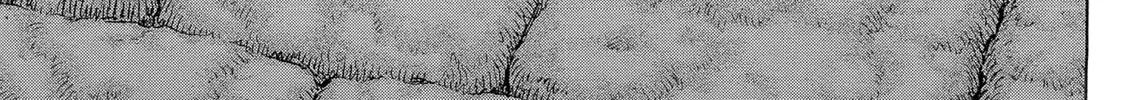 Read Berserk chapter 330 image 1 on Lezhin