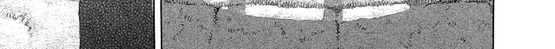 Read Berserk chapter 330 image 37 on Lezhin