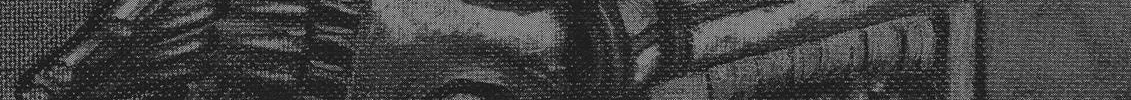 Read Berserk chapter 355 image 37 on Lezhin