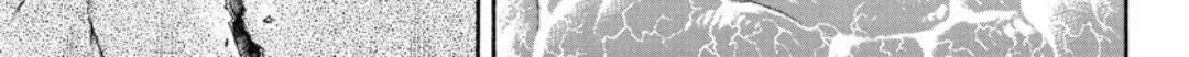 Read Berserk chapter 370.5 image 22 on Lezhin