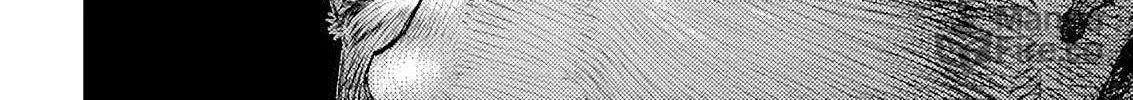Read Berserk chapter 370 image 29 on Lezhin