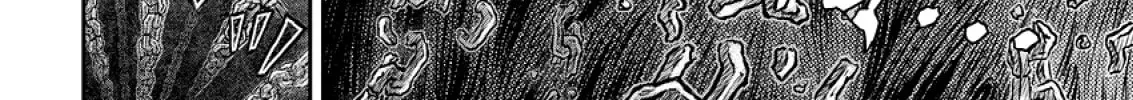 Read Berserk chapter 374 image 33 on Lezhin
