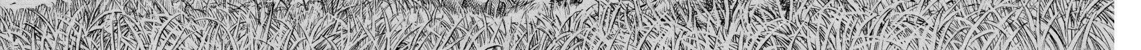 Read Berserk chapter 70 image 19 on Lezhin