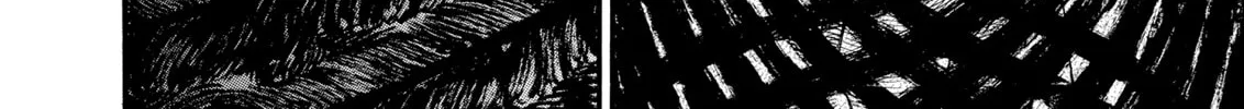 Read Berserk chapter 75 image 7 on Lezhin