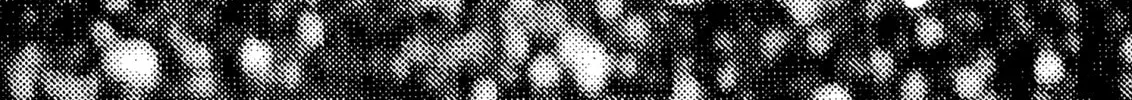 Read Berserk chapter 79 image 31 on Lezhin