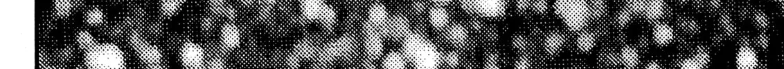 Read Berserk chapter 92 image 27 on Lezhin