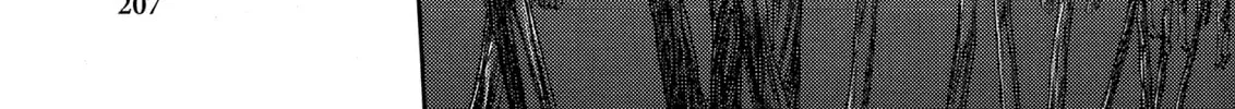 Read Berserk chapter 99.5 image 27 on Lezhin