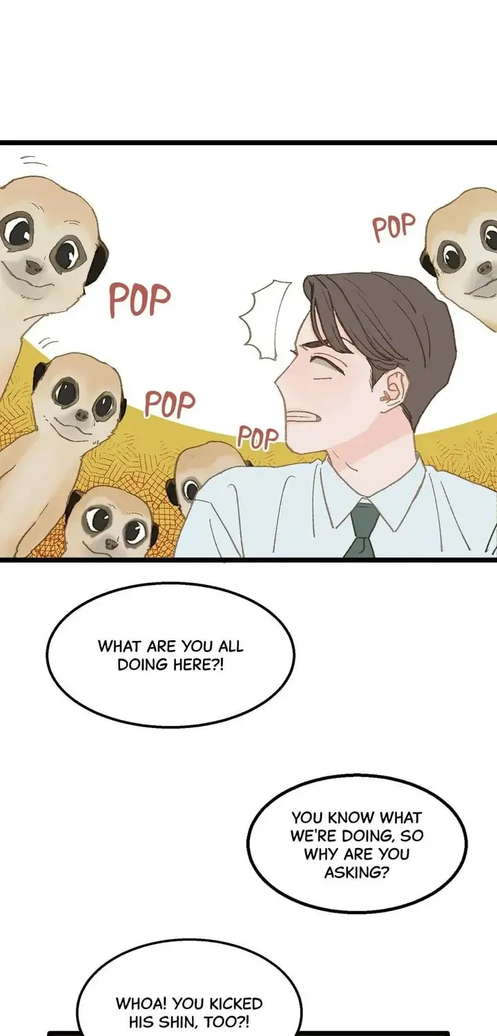 Read Beta Off Not Dating chapter 11 image 33 on Lezhin