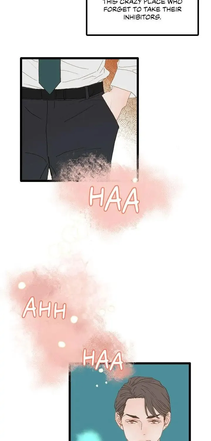 Read Beta Off Not Dating chapter 2 image 4 on Lezhin