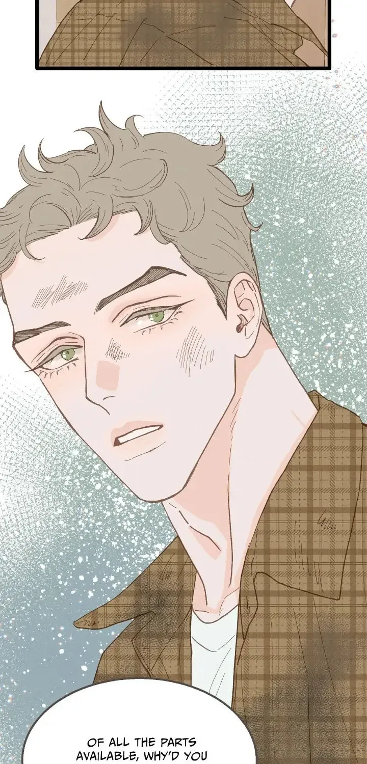 Read Beta Off Not Dating chapter 24 image 59 on Lezhin