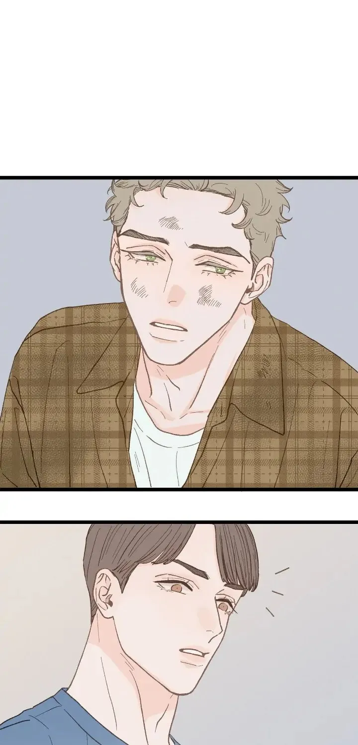 Read Beta Off Not Dating chapter 24 image 62 on Lezhin