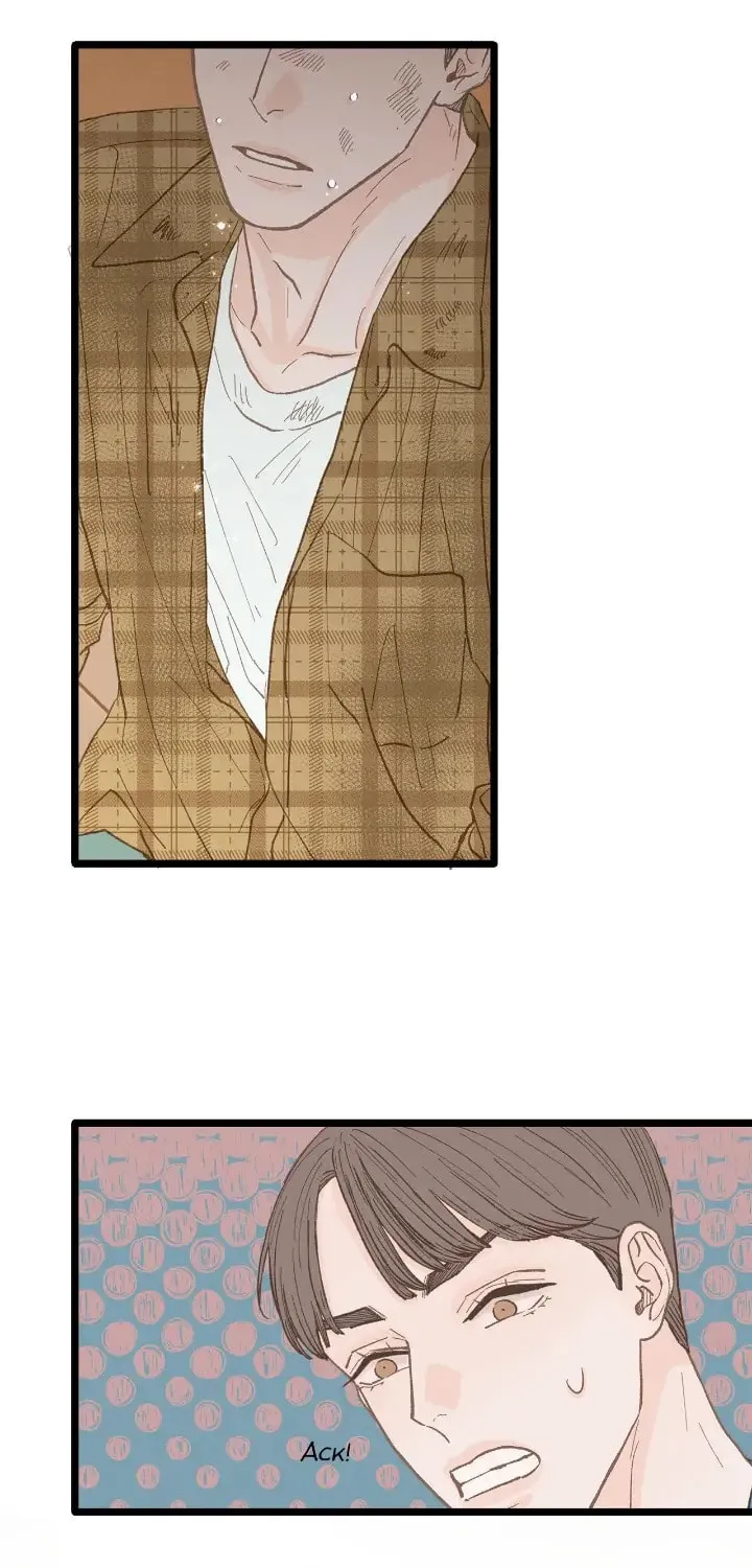 Read Beta Off Not Dating chapter 24 image 65 on Lezhin