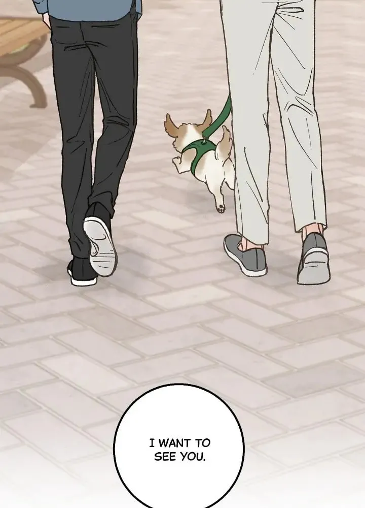 Read Beta Off Not Dating chapter 26 image 46 on Lezhin