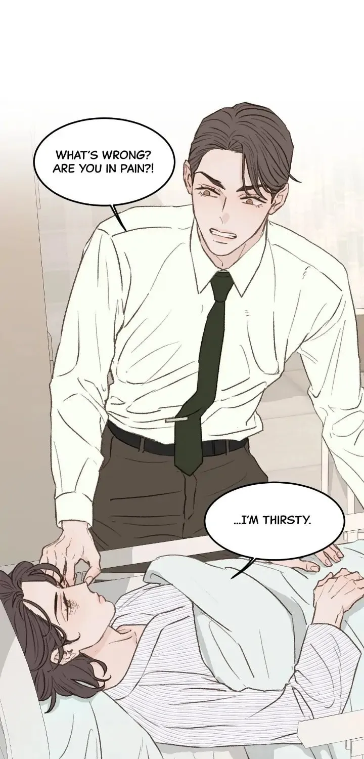 Read Beta Off Not Dating chapter 33 image 27 on Lezhin