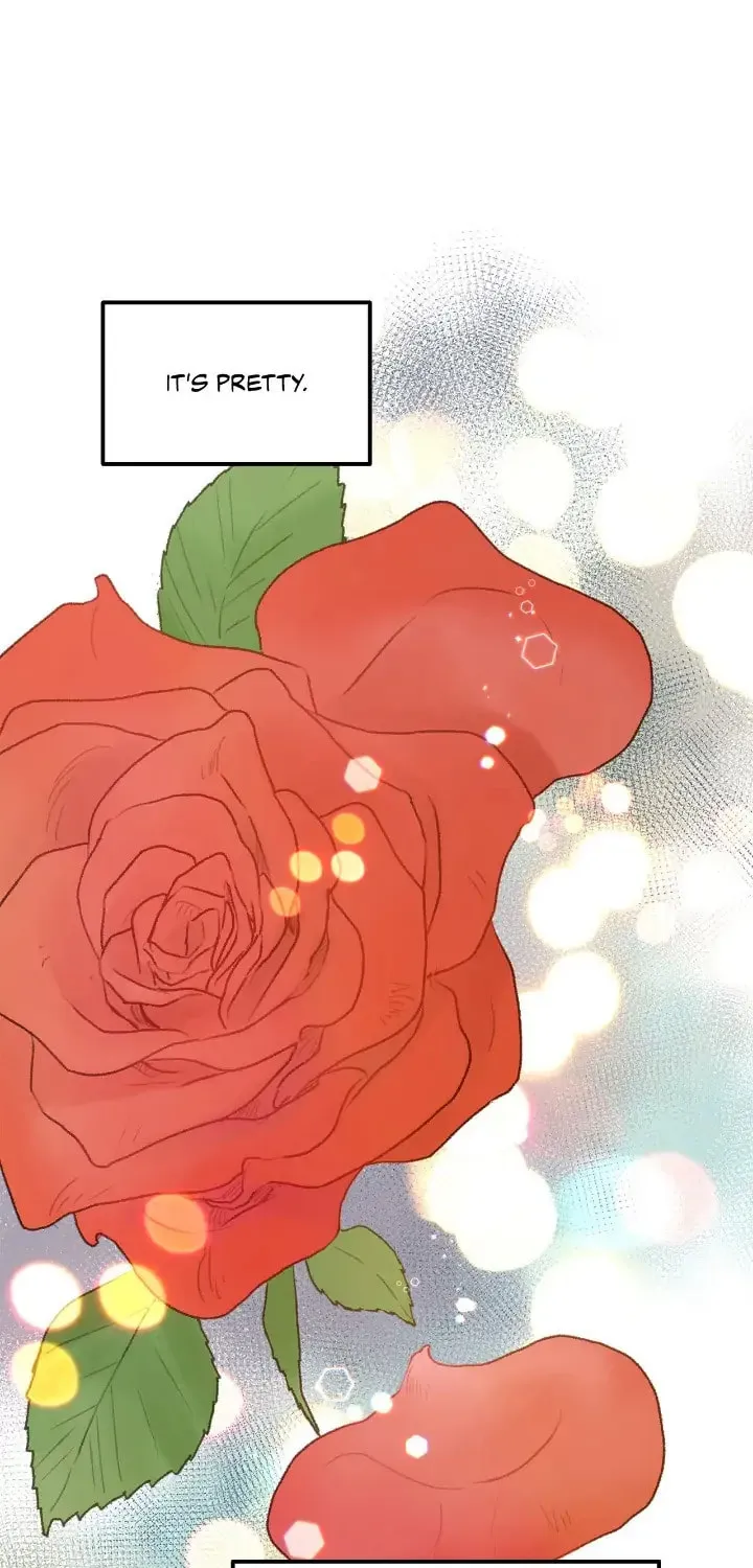 Read Beta Off Not Dating chapter 36 image 60 on Lezhin