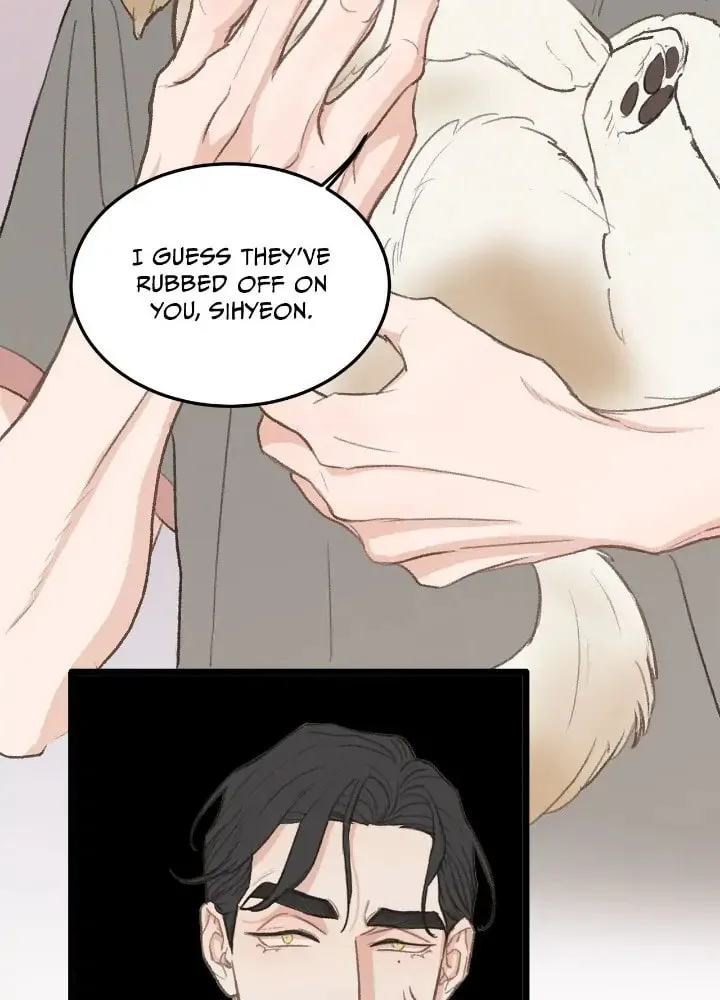 Read Beta Off Not Dating chapter 40 image 11 on Lezhin
