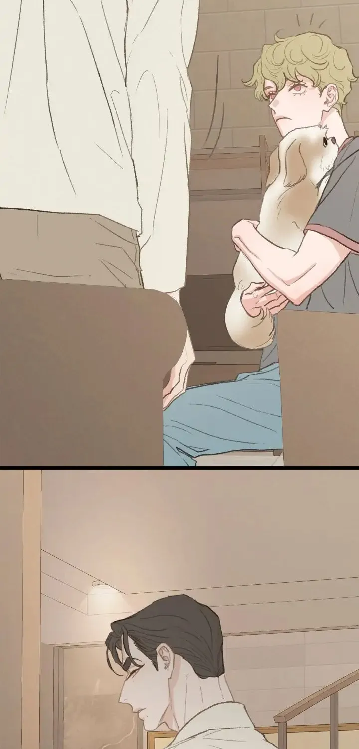 Read Beta Off Not Dating chapter 40 image 13 on Lezhin