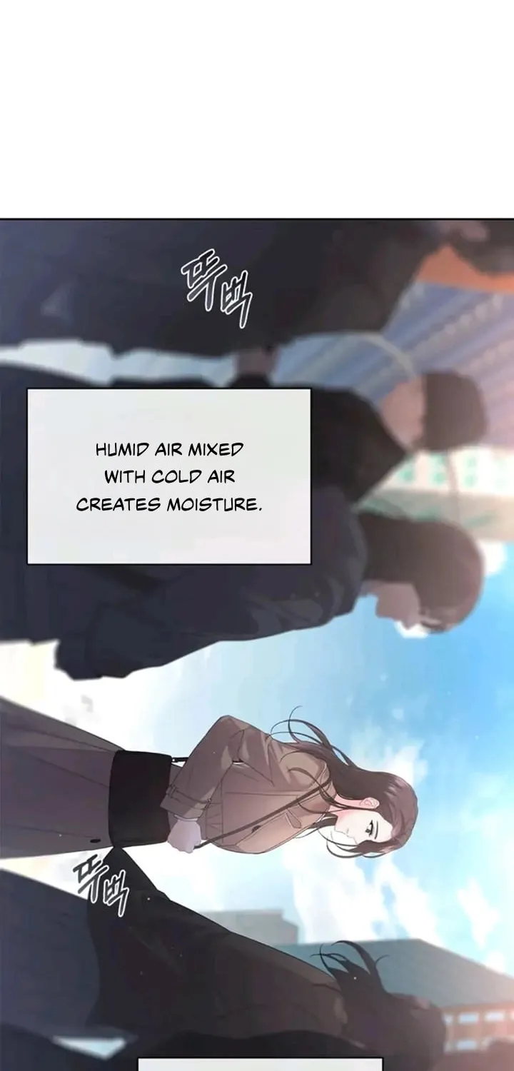 Read Between Seasons chapter 1 image 9 on Lezhin