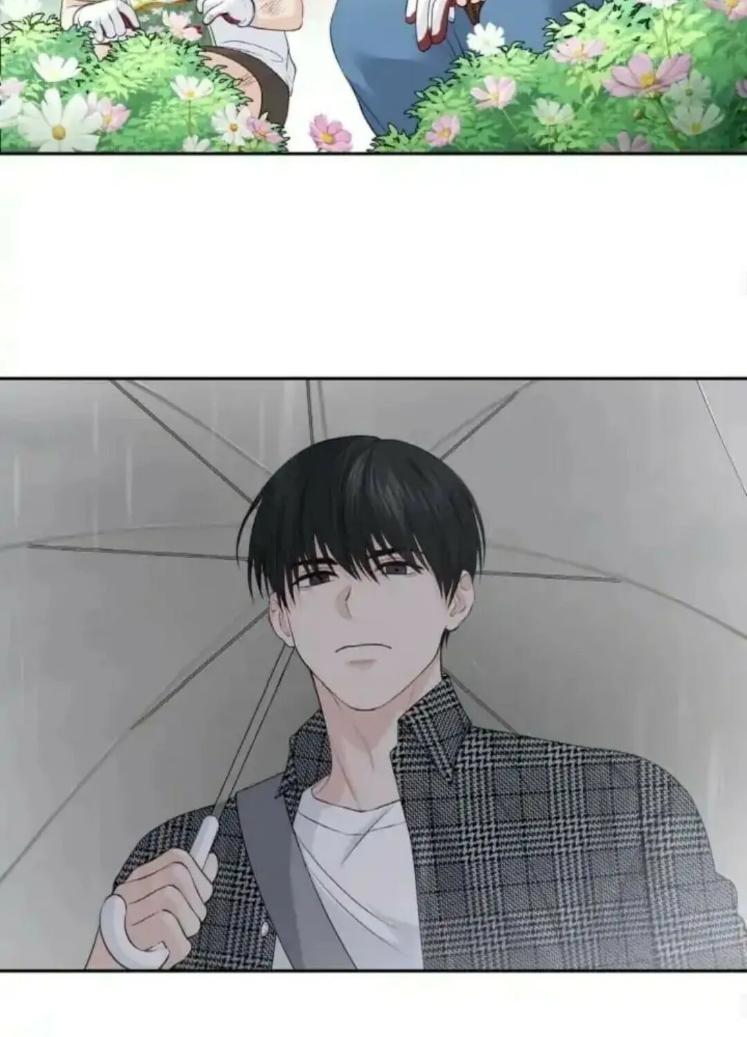 Read Between Seasons chapter 15 image 40 on Lezhin