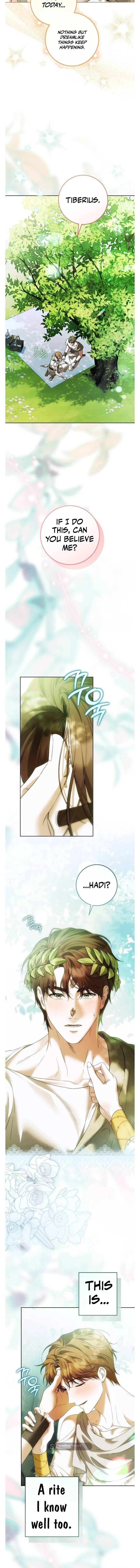 Read Between the Laurel Branches chapter 13 image 2 on Lezhin