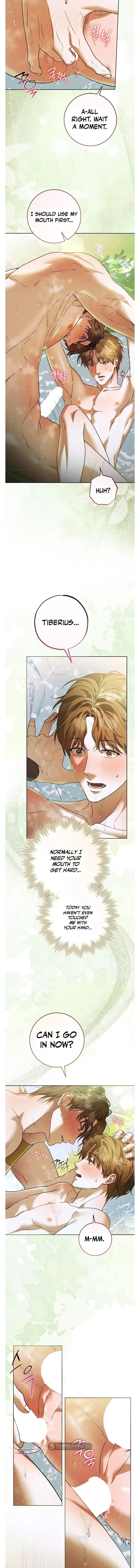 Read Between the Laurel Branches chapter 13 image 7 on Lezhin