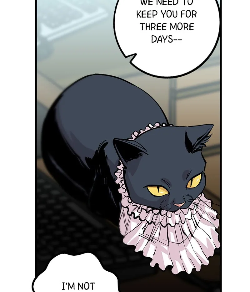 Read Betwixt chapter 14 image 7 on Lezhin