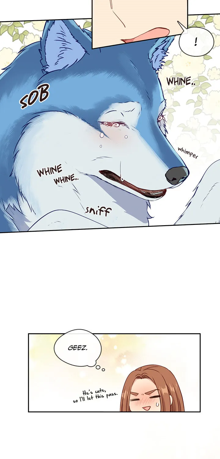 Read Beware the Villainess! chapter 27 image 1 on Lezhin