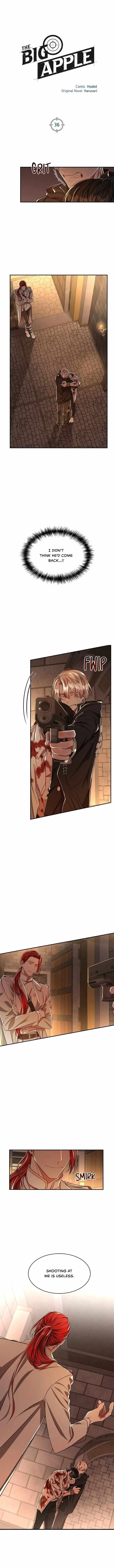 Read Big Apple chapter 36 image 3 on Lezhin