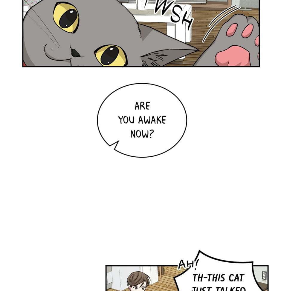 Read Big Life chapter 66 image 66 on Lezhin