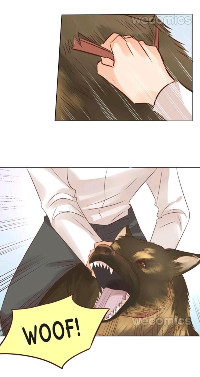 Read Billionaire House Dad chapter 96 image 37 on Lezhin