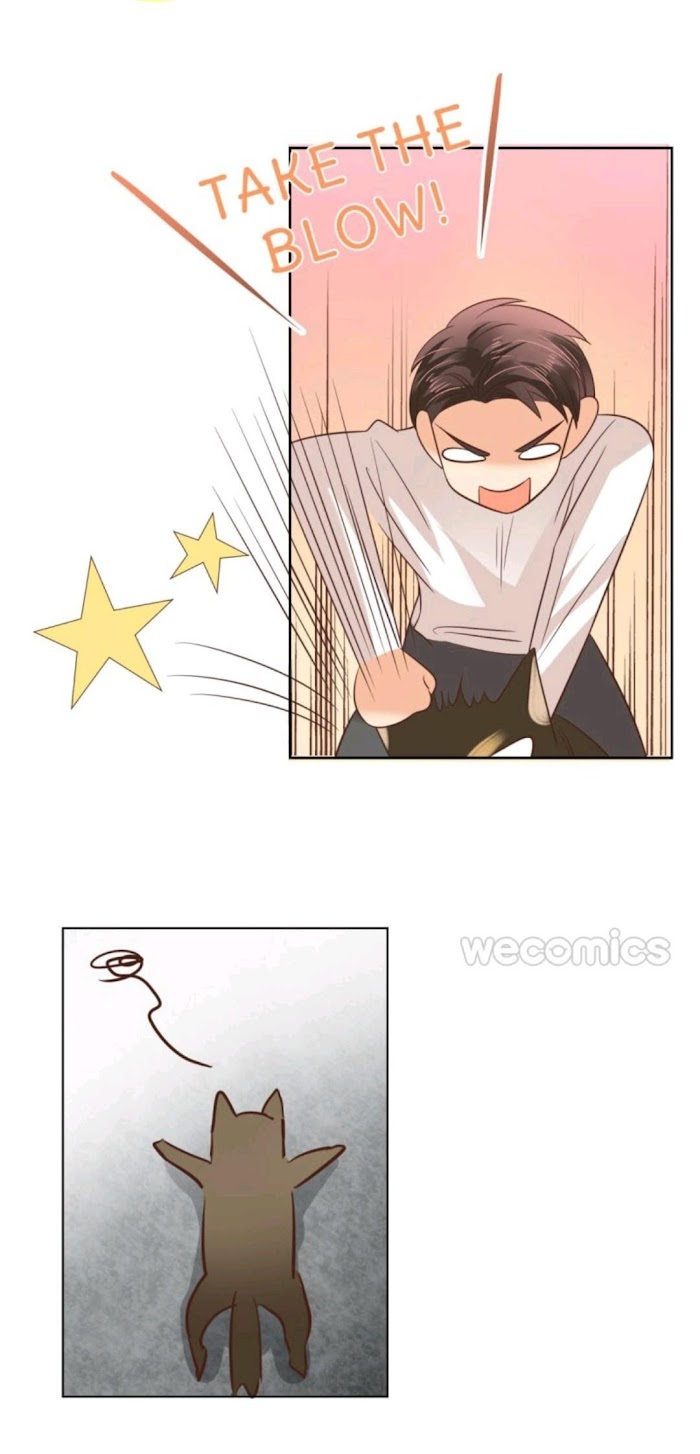 Read Billionaire House Dad chapter 96 image 38 on Lezhin