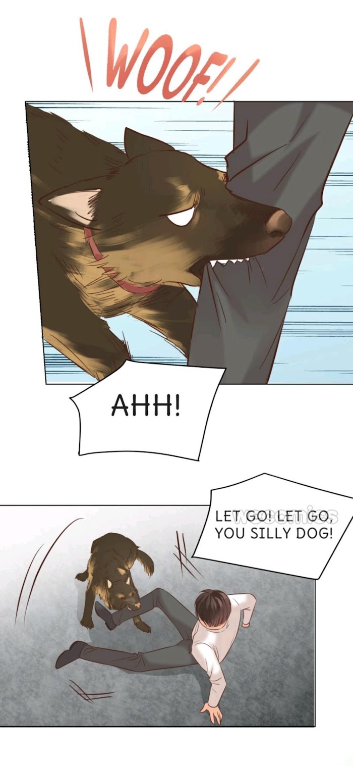 Read Billionaire House Dad chapter 96 image 40 on Lezhin
