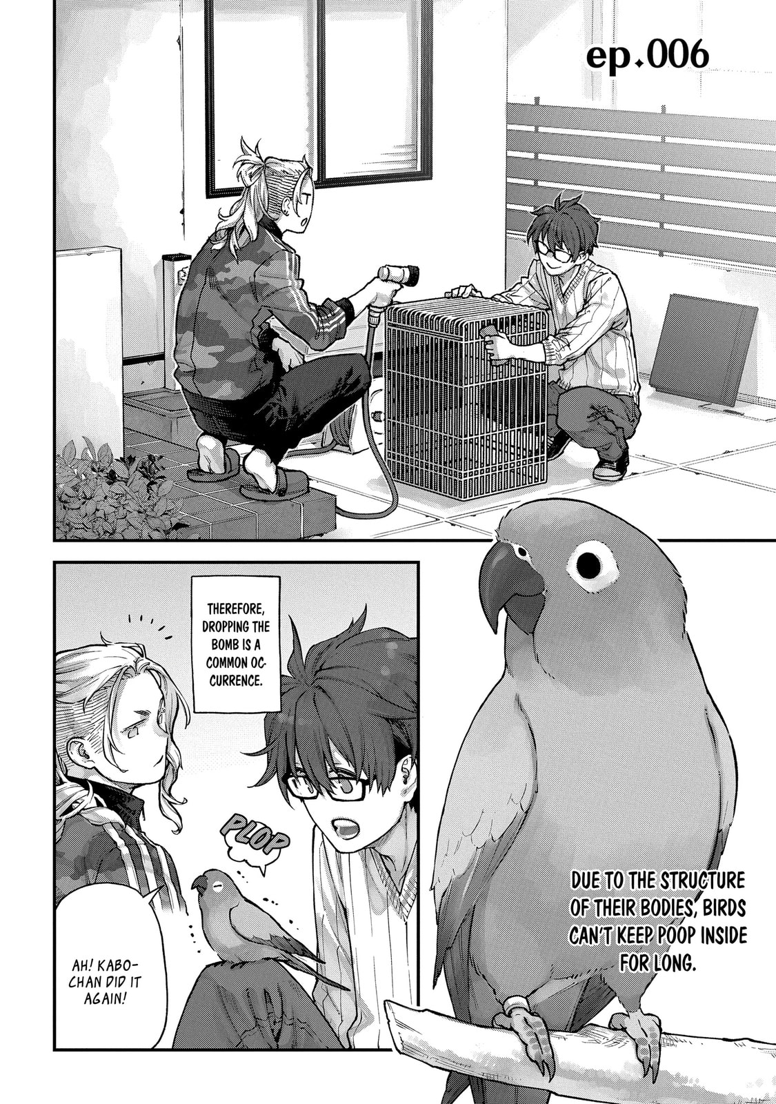 Read Birds Junkies chapter 6 image 1 on Lezhin