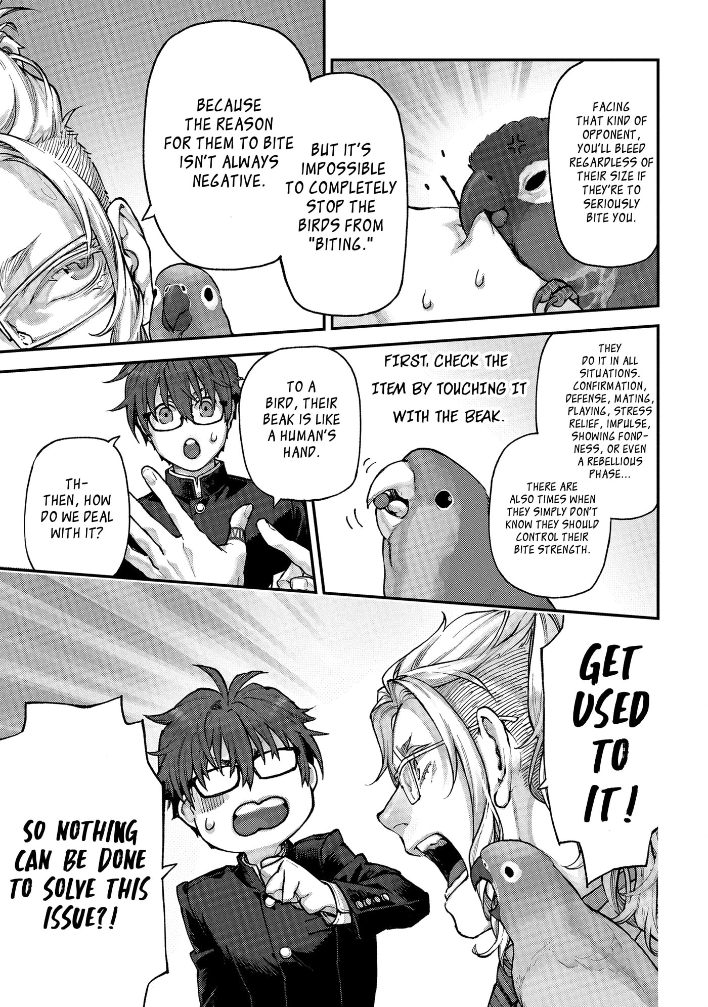 Read Birds Junkies chapter 8 image 12 on Lezhin