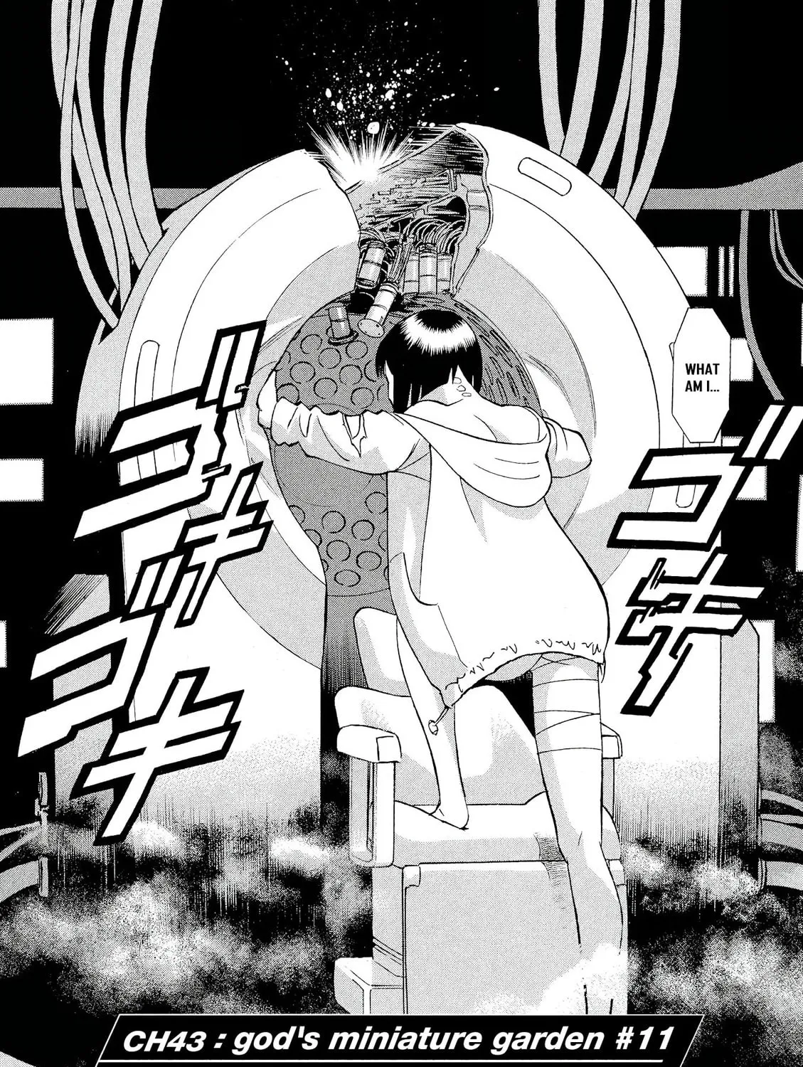Read Birdy the Mighty Evolution chapter 43 image 2 on Lezhin