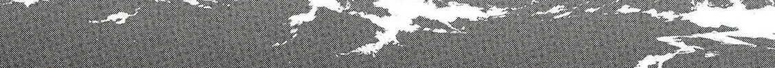 Read Birdy the Mighty Evolution chapter 46 image 1 on Lezhin